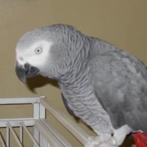 Meet your Posher, Kay